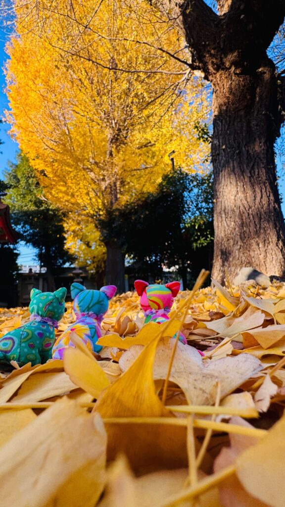 ALOHA BEAR®︎ポートフォリオ7