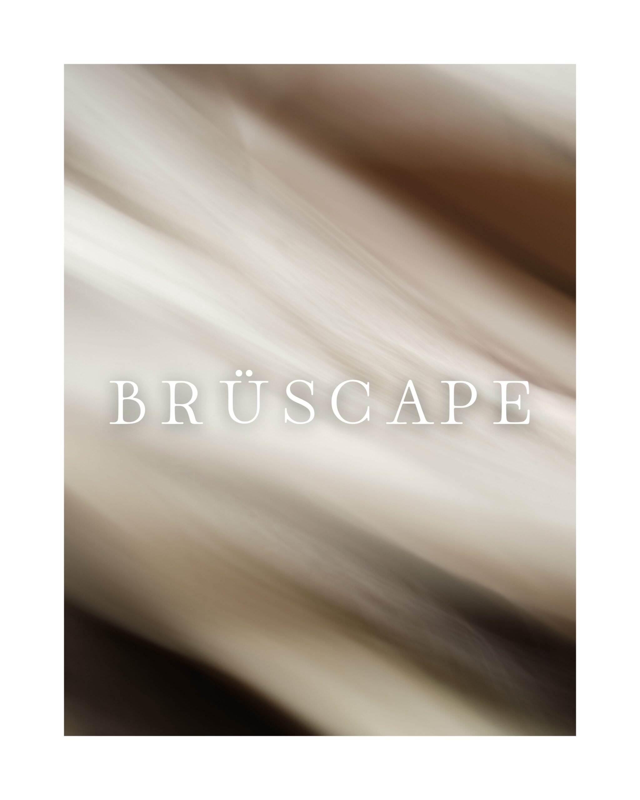 BRÜSCAPE作品2