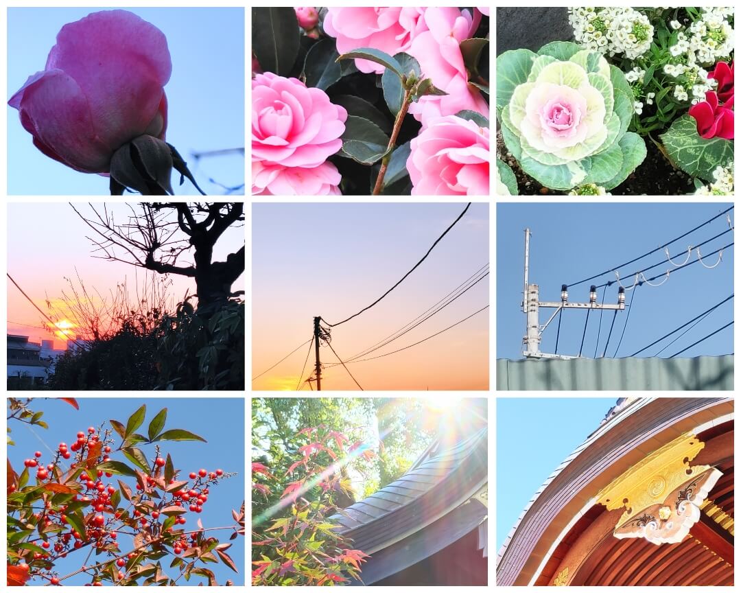 NODOKA*yukimi作品2